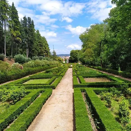 Templardreams - Old Centre Tomar