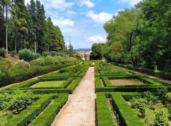 Templardreams - Old Centre Tomar